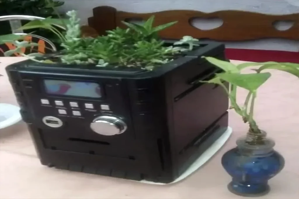 Mini jardim de suculentas plantado em uma caixa de som reciclada, transformando um objeto eletrônico antigo em um belo arranjo sustentável.