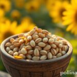 Sementes de Girassol: O Pequeno Gigante da Nutrição para Sua Saúde Completa